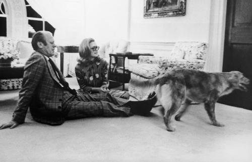 «Первую  собаку Америки»  представили журналистам