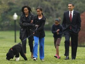 «Первую  собаку Америки»  представили журналистам