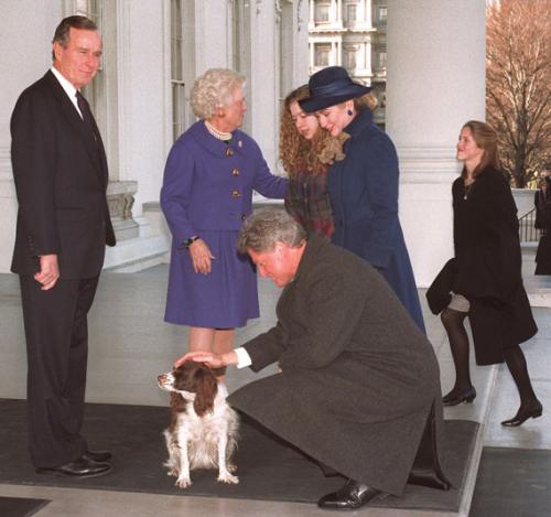 «Первую  собаку Америки»  представили журналистам