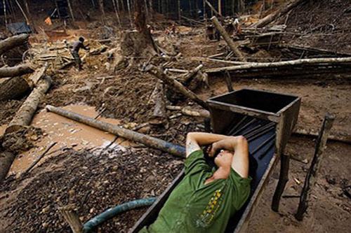 В погоне за жёлтым дьяволом