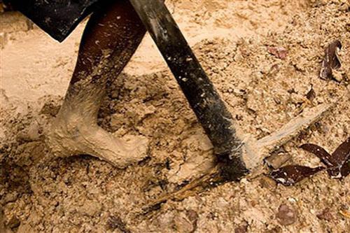 В погоне за жёлтым дьяволом