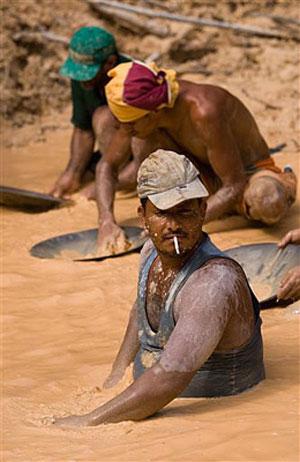 В погоне за жёлтым дьяволом