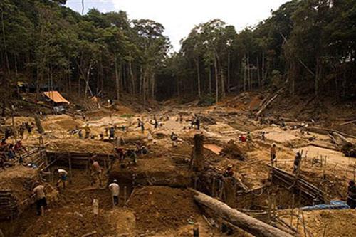 В погоне за жёлтым дьяволом