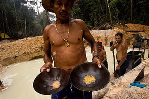 В погоне за жёлтым дьяволом