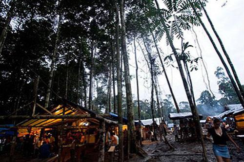 В погоне за жёлтым дьяволом