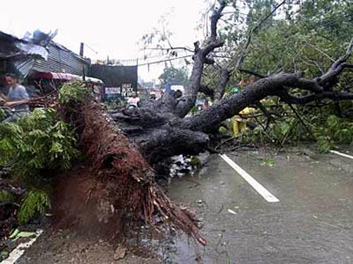Над Филиппинами пронесся тайфун