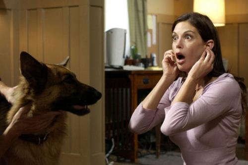 Самые капризные звезды и их невероятные райдеры