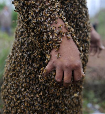 Китаец надел костюм из живых пчел