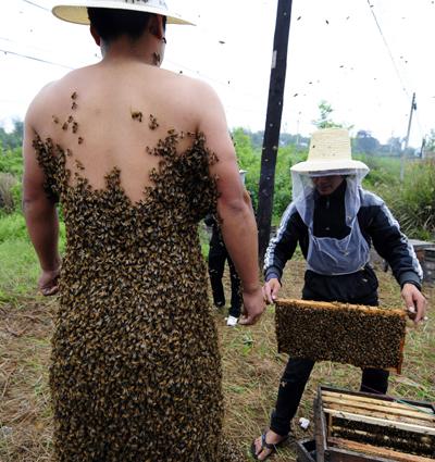 Китаец надел костюм из живых пчел