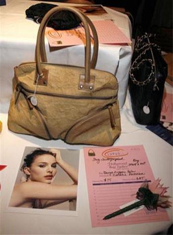 Денежные сумочки VIP-ов стали достоянием общественности