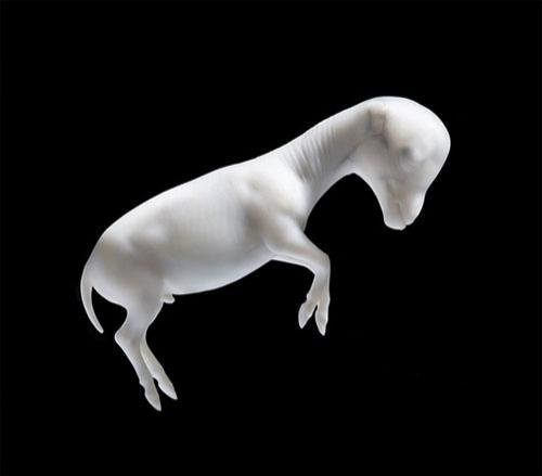 Чудеса природы: рождение лошади