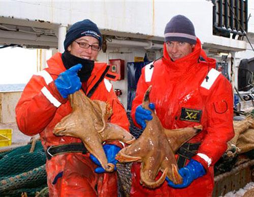 Водяные монстры: привет из юрского периода