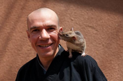 Крысы-саперы на службе войск Танзании и Мозамбика