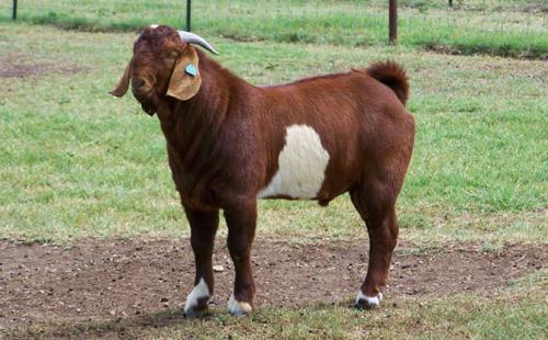 15 невероятных научных революционных достижений