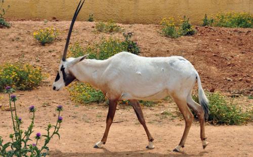 15 невероятных научных революционных достижений