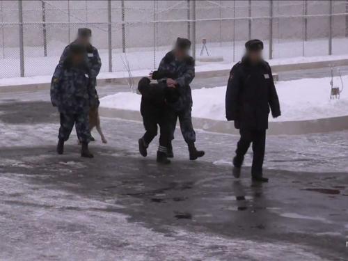 Как устроена одна из самых суровых тюрем в россии «черный дельфин»