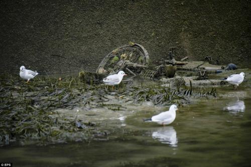 Французы осушили один из парижских каналов и обнаружили на дне целые сокровища