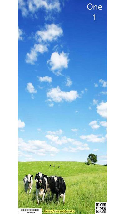 Каким может быть новый дизайн доллара США