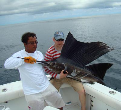 Топ-10 самых удивительных рекордов представителей фауны