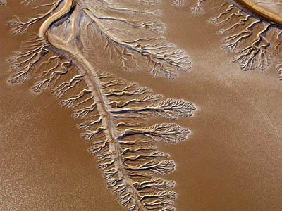 Топ-15 удивительных фотографий пустынь