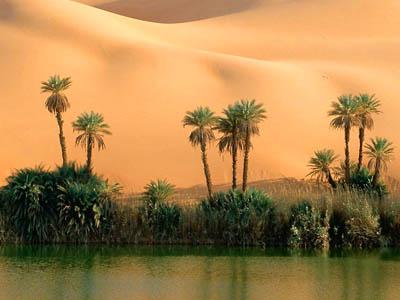 Топ-15 удивительных фотографий пустынь