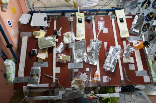 Как живут астронавты на борту МКС: уникальные фото
