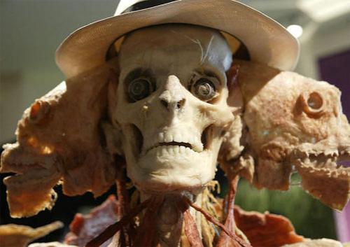 Пластинатор Гюнтер фон Хагенс преподнёс «рождественский  сюрприз»