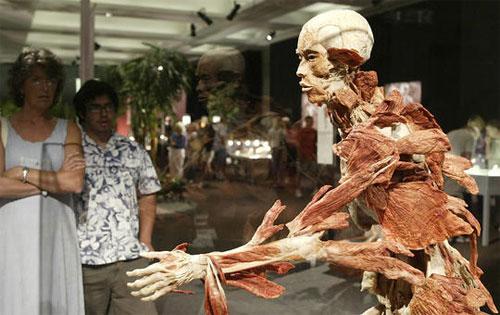 Пластинатор Гюнтер фон Хагенс преподнёс «рождественский  сюрприз»