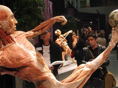 Пластинатор Гюнтер фон Хагенс преподнёс «рождественский  сюрприз»