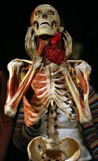 Пластинатор Гюнтер фон Хагенс преподнёс «рождественский  сюрприз»