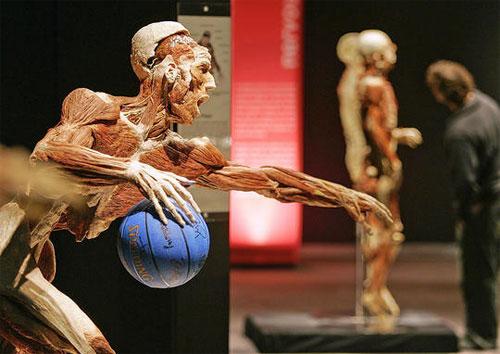 Пластинатор Гюнтер фон Хагенс преподнёс «рождественский  сюрприз»