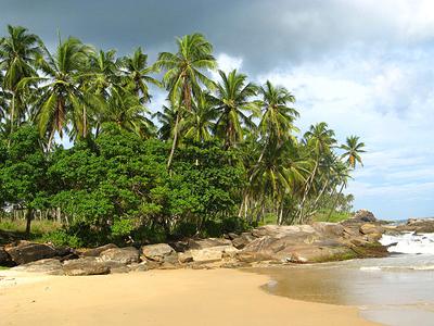 Топ-10 лучших пляжей Гоа