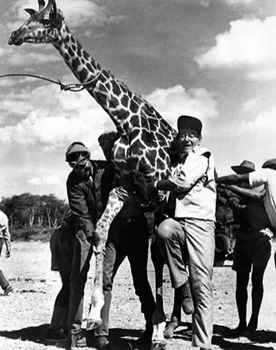 Редкие фотографии всемирно известных звезд. Часть 35