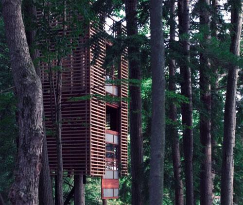 Самые удивительное жилье на деревьях
