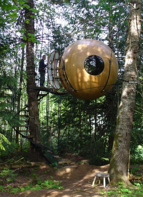 Самые удивительное жилье на деревьях