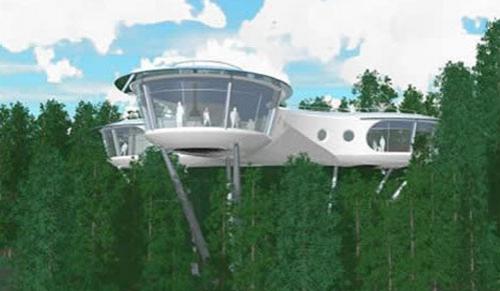 Самые удивительное жилье на деревьях