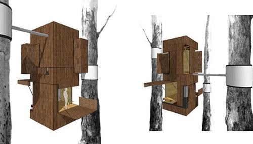 Самые удивительное жилье на деревьях