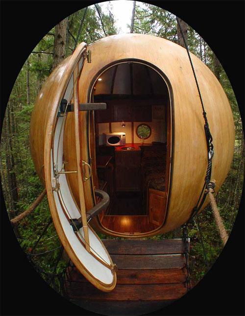 Самые удивительное жилье на деревьях