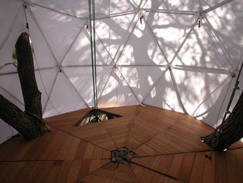 Самые удивительное жилье на деревьях