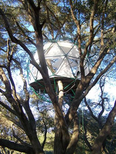 Самые удивительное жилье на деревьях