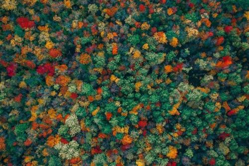 20 лучших работ с фотоконкурса Dronestagram