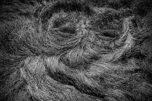 20 лучших работ с фотоконкурса Dronestagram