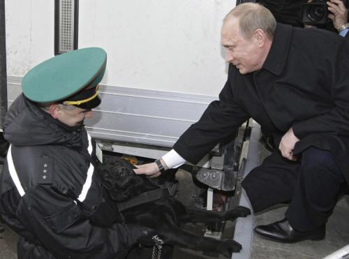 20 самых ярких фотографий Путина с животными