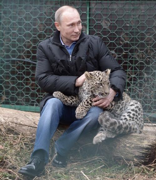 20 самых ярких фотографий Путина с животными