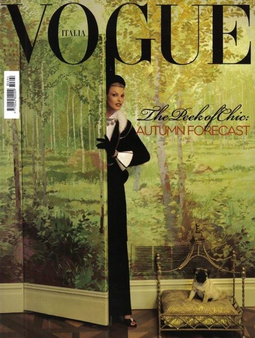 Лучшие обложки модных журналов 2008 года