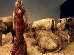 Николь Кидман снялась в хлеву