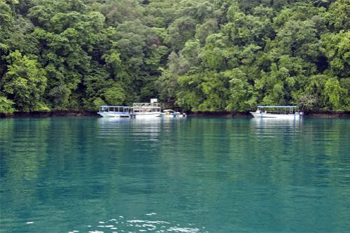 Царство медуз в Палау