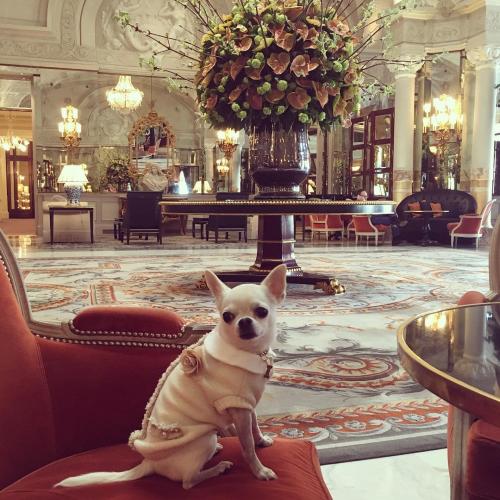 Как отдыхают дети российских олигархов