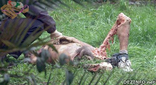 Фотошоп или нет: стоит ли верить тому, что размещено в Сети ?