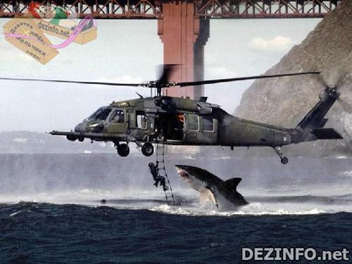 Фотошоп или нет: стоит ли верить тому, что размещено в Сети ?